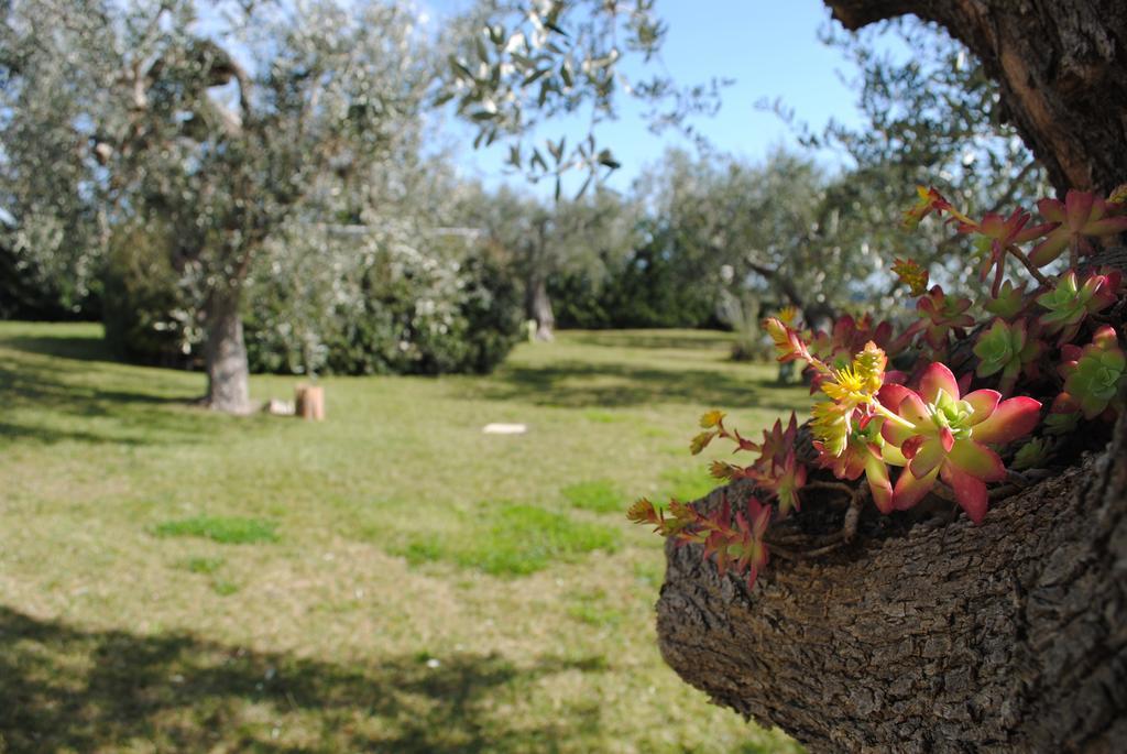 Giardino Giamperduto 3*